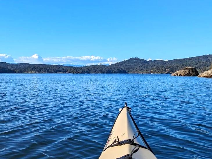 Guided Sea Kayaking: A Journey through Coastal Waters