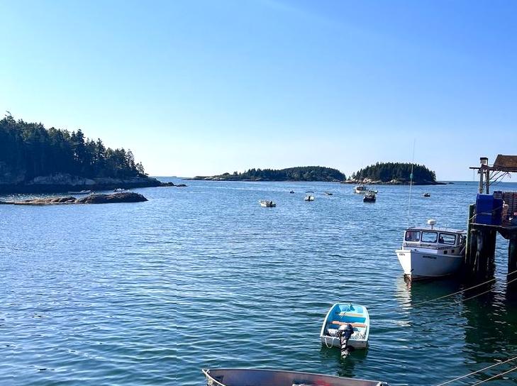 Tour an Oyster Farm: Learning the Process of Oyster Farming and Tasting Fresh Delicacies