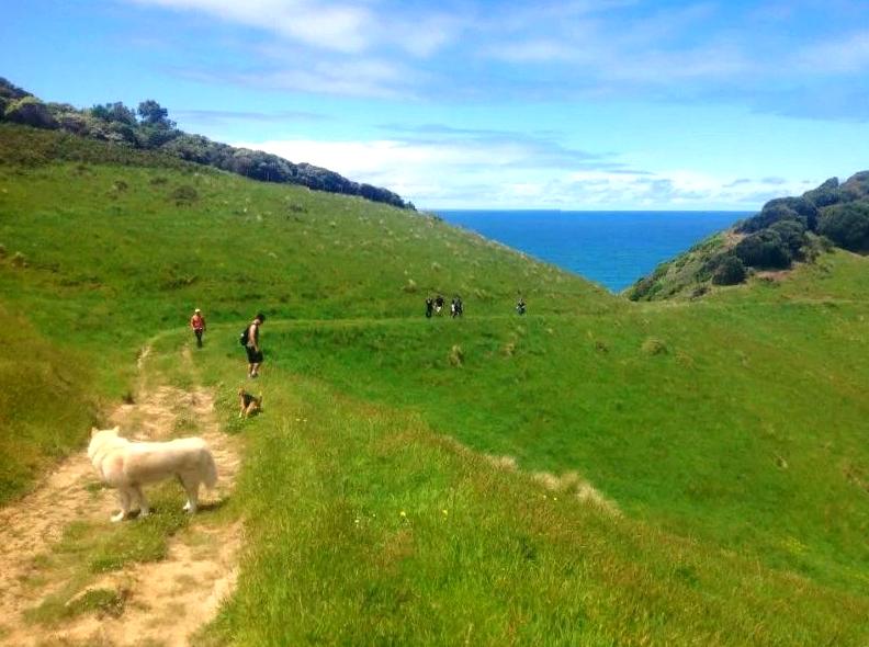 Johanna Beach: Embracing the Wilderness through Camping